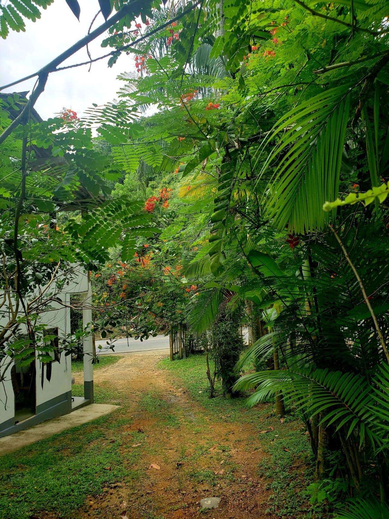 Pousada Villa da Gama Parati Camera foto